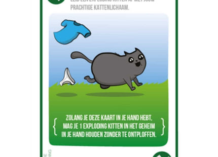 Streaking Kittens uitbreiding (NL)